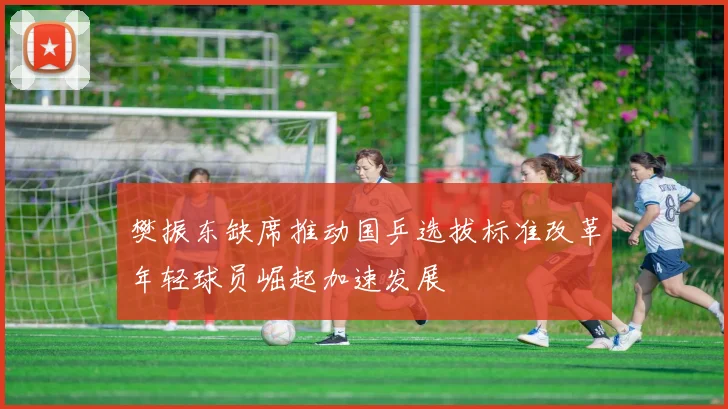 樊振东缺席推动国乒选拔标准改革年轻球员崛起加速发展