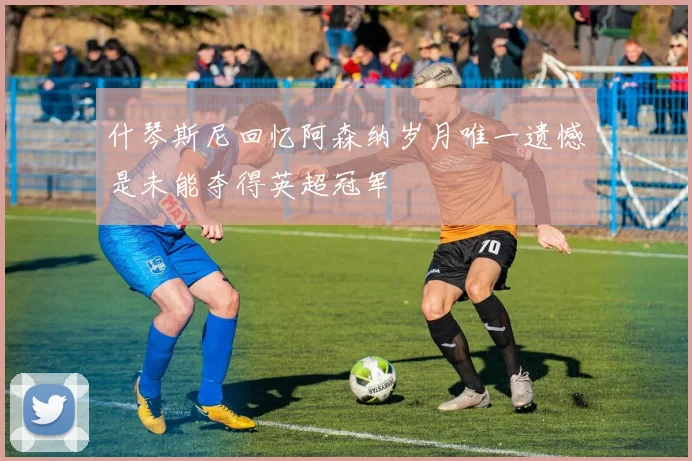 什琴斯尼回忆阿森纳岁月唯一遗憾是未能夺得英超冠军
